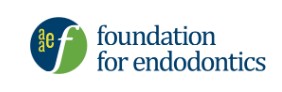aaef logo